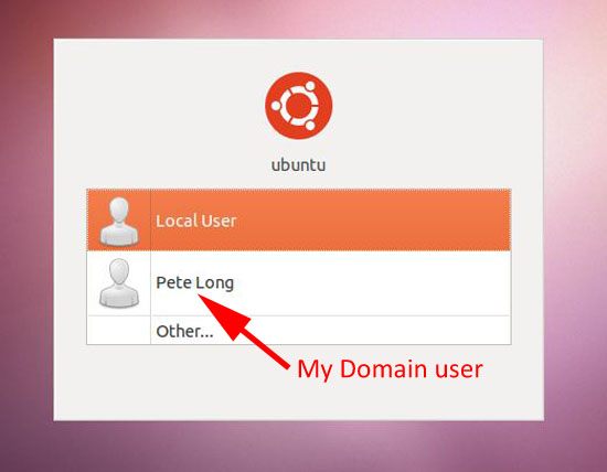 ubuntu display domain user