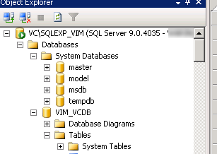 VIM_VCDB database