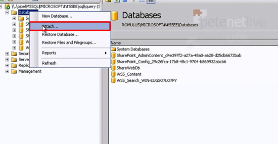 SQL Attach Database