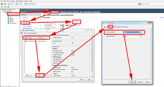vSphere Enable Promiscuous Mode