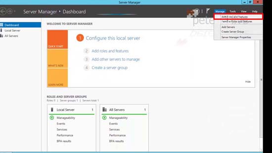 Server Manager Roles