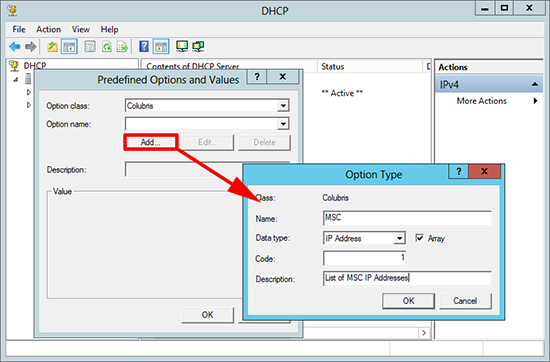 Custom DHCP Options