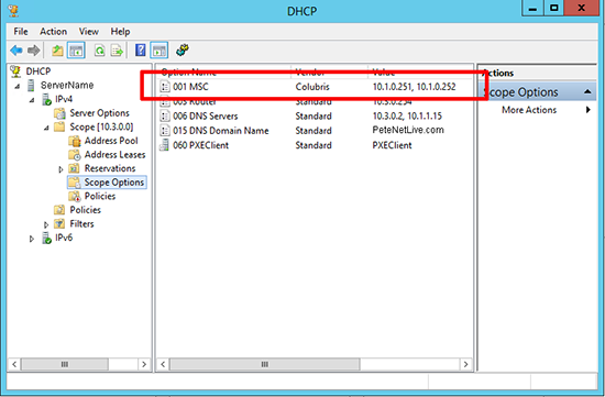 DHCP Scope Options Define Custom