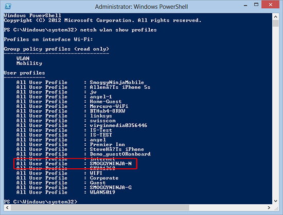 Powershell reveal wireless key