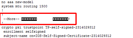Starup-config more