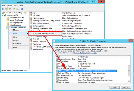 PKI Publish Template