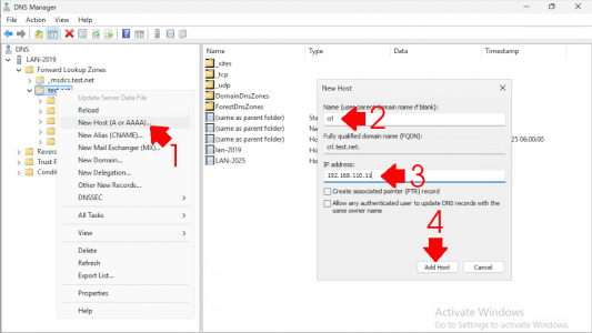 Setup a CRL - DNS Settings