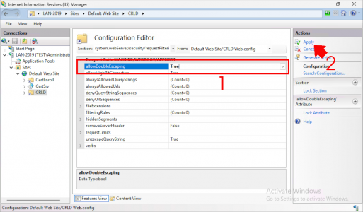 Setup a CRL - IIS Request Filtering