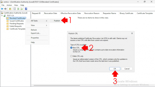 Setup a CRL - Publish a CRL
