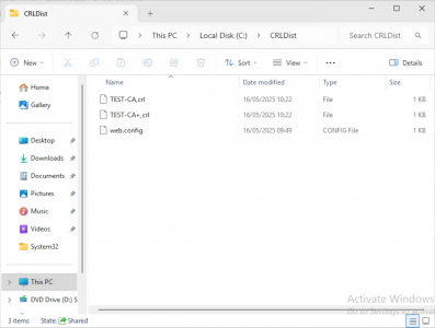Setup a CRL - Publish a CRL