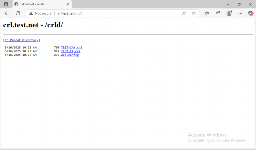 Setup a CRL - Test a CRL