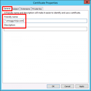 Wildcard Windows Certificate