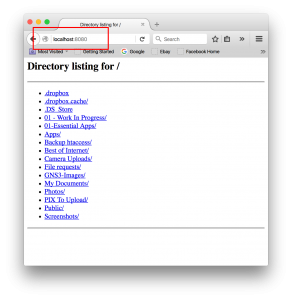 linux python web server