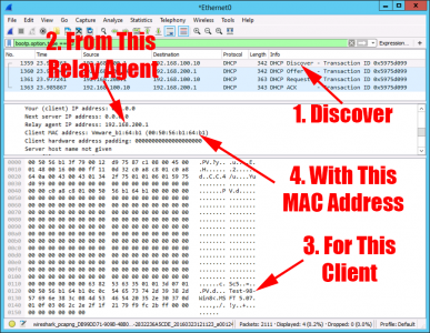 DHCP Agent Packet Sniff