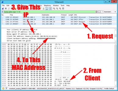 Prove DHCP relay with packet Sniffer