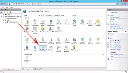 MIME Type IIS