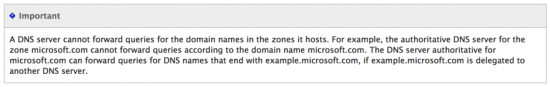 DNS server cannot forward for its one domain