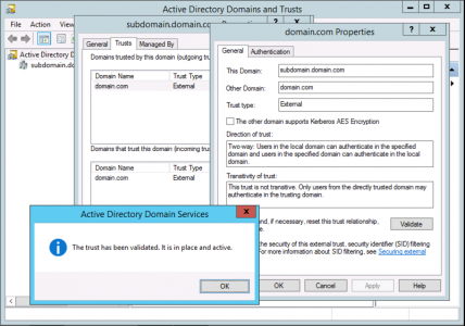 validate an incoming domain trust