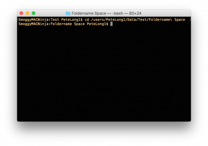 Mac OSX Change Directory Foldername with a space