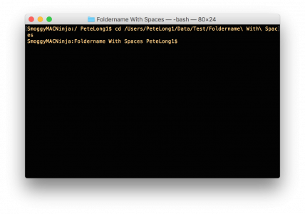 Mac OSX Change Directory Foldername with spaces