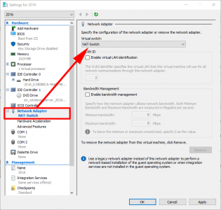 Connect Hyper V Guest to NAT Switch