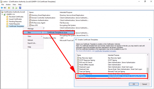 Issue VPN User Certificate