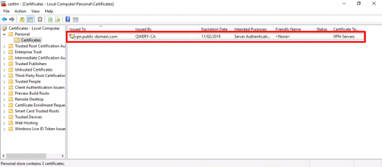 RAS PKI Public Certificate