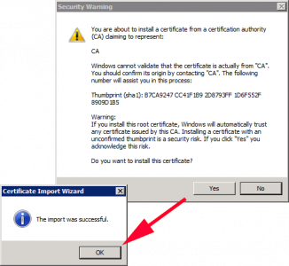 Successful Import vCenter Root CA Certificate