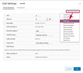 Present server physical disk to VM