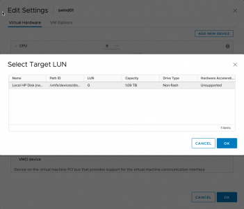 Present physical disk to VM from RAID