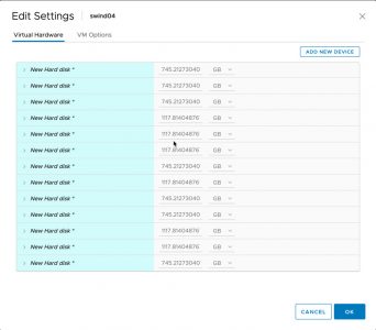 Present physical disk to VM from RAID