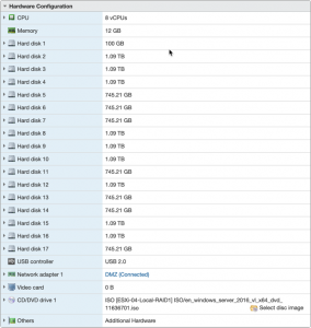 Present physical disk to VM