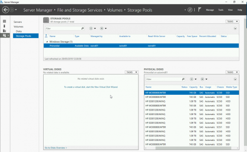 Physical disks PResented to VM from RAID