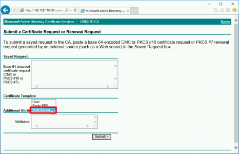 Cant see Web server certificate