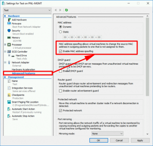 Hyper-V Enable MAC Spoofing