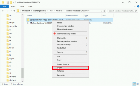 Exchange DB Delete Index