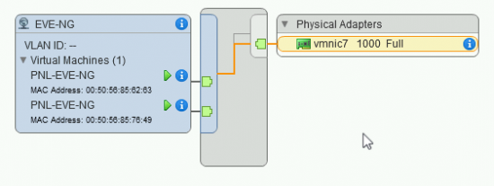 EVE-NG on ESXi ARP Problem