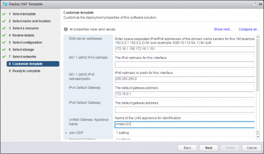Deploy VMware UAG OVA DNS Setup