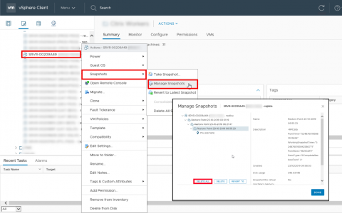 Veeam Replica Remove Snapshots