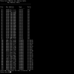 Check MAC Address on Switch