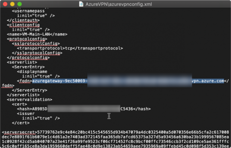 macosx Cilient VPN to Azure server name