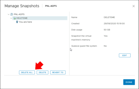 VMware Delete Snapshots