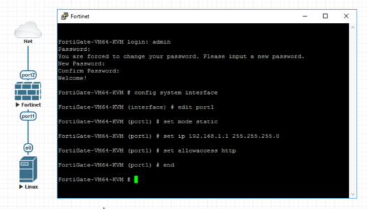 Configure Fortigate for Web Access