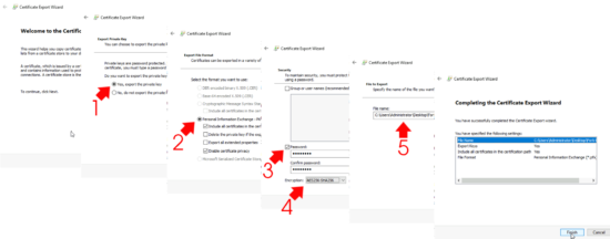 Export PFX Certificate