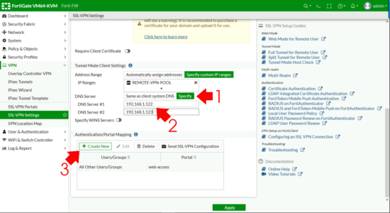 Fortigate SSL-VPN DNS and Portal Mapping