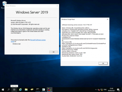 Upgraded to Windows 2019