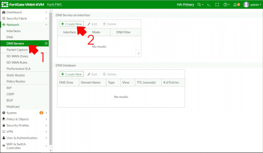 FortiGate Enable DNS Service