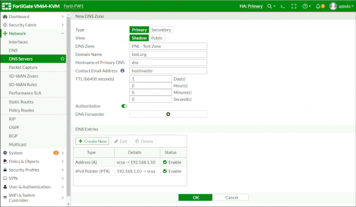 FortiGate Configre For Internsal DNS