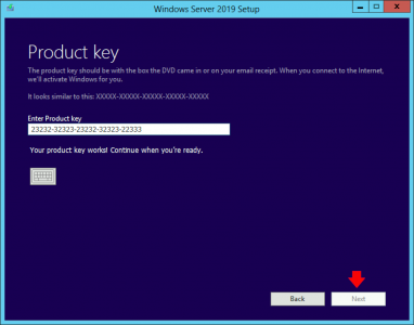 Server 2019 License Key