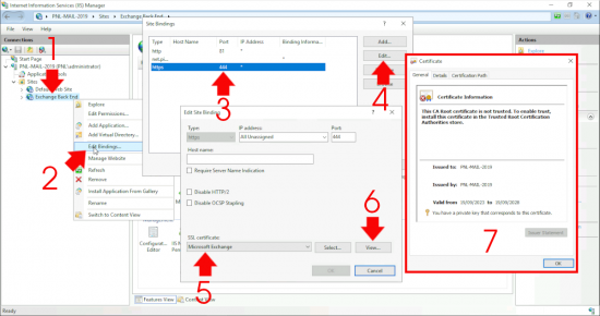 Exchange Default Back End Exchange Certificate